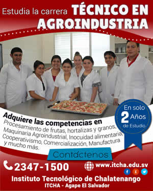 Técnico en Agroindustria con Especialidad en Procesamiento de Frutas, Hortalizas y Granos