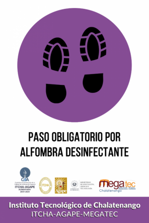 1257-alfombra.png