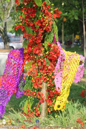 1265-IMG_2458.JPG