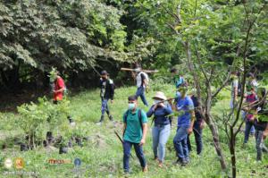 Proyecto para la preservación del Río Tamulasco 