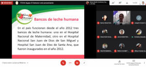 1270-WebinarDiaLactancia.png