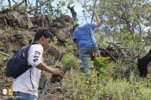 Reforestación en zona de La Montañona, Chalatenango