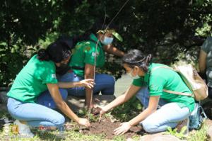 Cerramos el mes del Medio Ambiente reforestando en ctón Las Minas