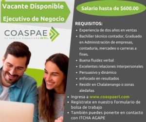 Oferta de Empleo para Ejecutivo de Negocios en COASPAE de R.L.