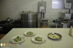 1387-IMG_6973.jpg