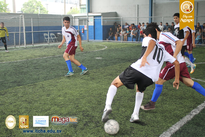143-IMG_5355.JPG