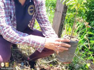 1611-Forestal-(7).jpg