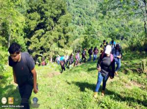 1611-Forestal-(8).jpg
