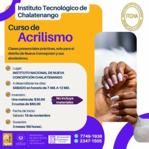 Curso Acrilismo