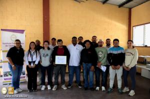 Socialización de los resultados de la investigación