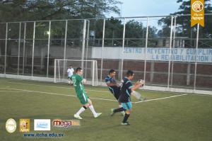 224-IMG_8530.JPG
