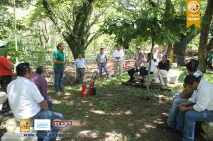 233-IMG_9729.JPG