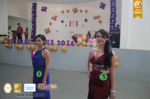 239-IMG_0254.JPG