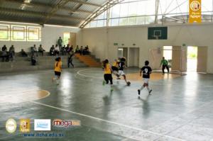 246-IMG_0727-(3).JPG