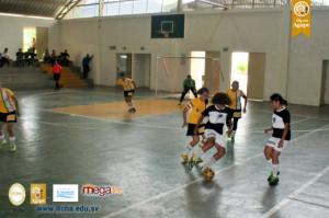 246-IMG_0737-(3).JPG