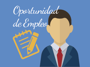 43-empleo1.png