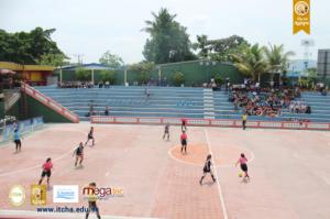 442-IMG_8201.JPG