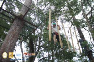 476-IMG_1037.JPG