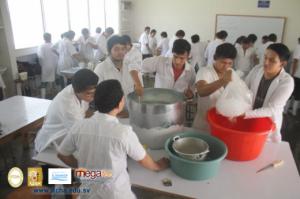 483-IMG_1785.JPG