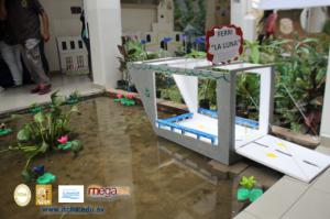 510-IMG_3868.JPG
