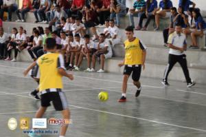 512-IMG_4752.JPG
