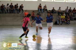 512-IMG_4950.JPG