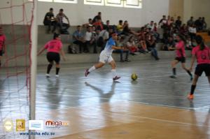 522-IMG_5959.JPG
