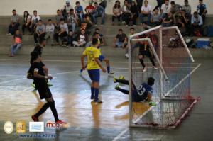 532-IMG_8619.JPG