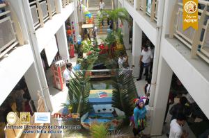 6-IMG_0155.JPG