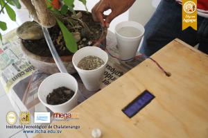 6-IMG_0253.JPG