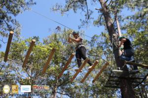 604-IMG_1559.JPG
