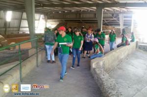618-IMG_12.jpg