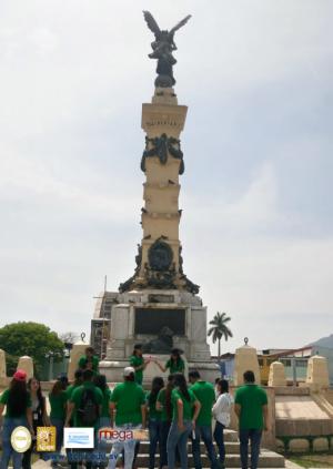 650-IMG_11.jpg