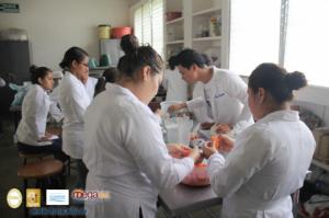654-IMG_5509.JPG