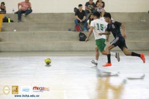 740-IMG_9084.JPG