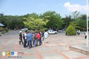 894-IMG_4359.JPG