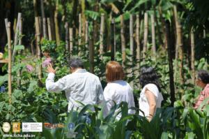 972-IMG_8336.JPG